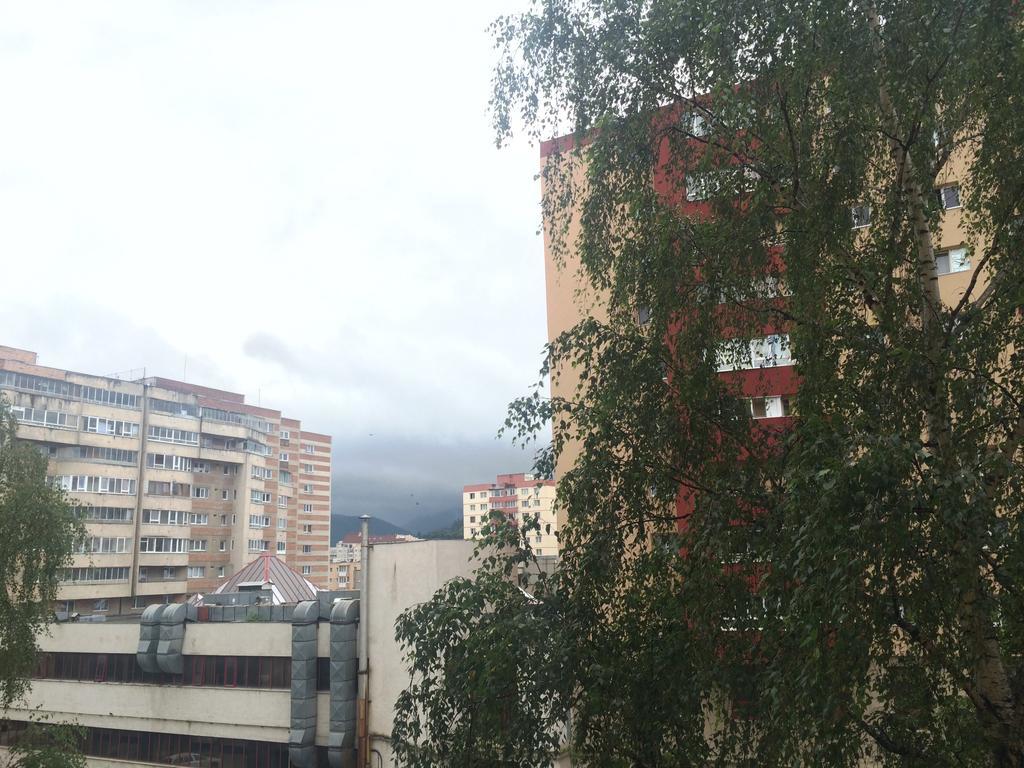Apartment Krondays Braşov Dış mekan fotoğraf